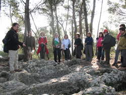 Serveis de turisme cultural